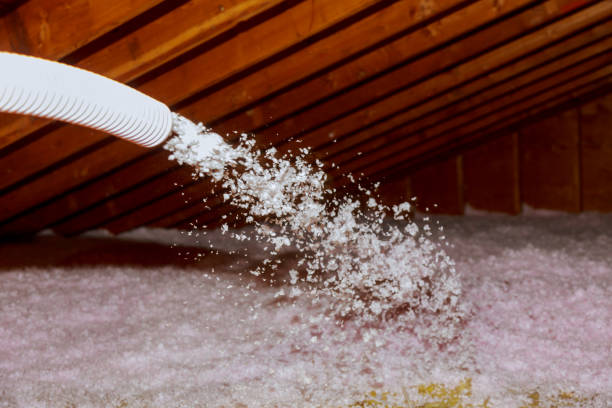 Best Insulation Maintenance and Repair in Duarte, CA